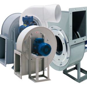 WhatsApp Image 2025-10-02 at 10.28.16 PM